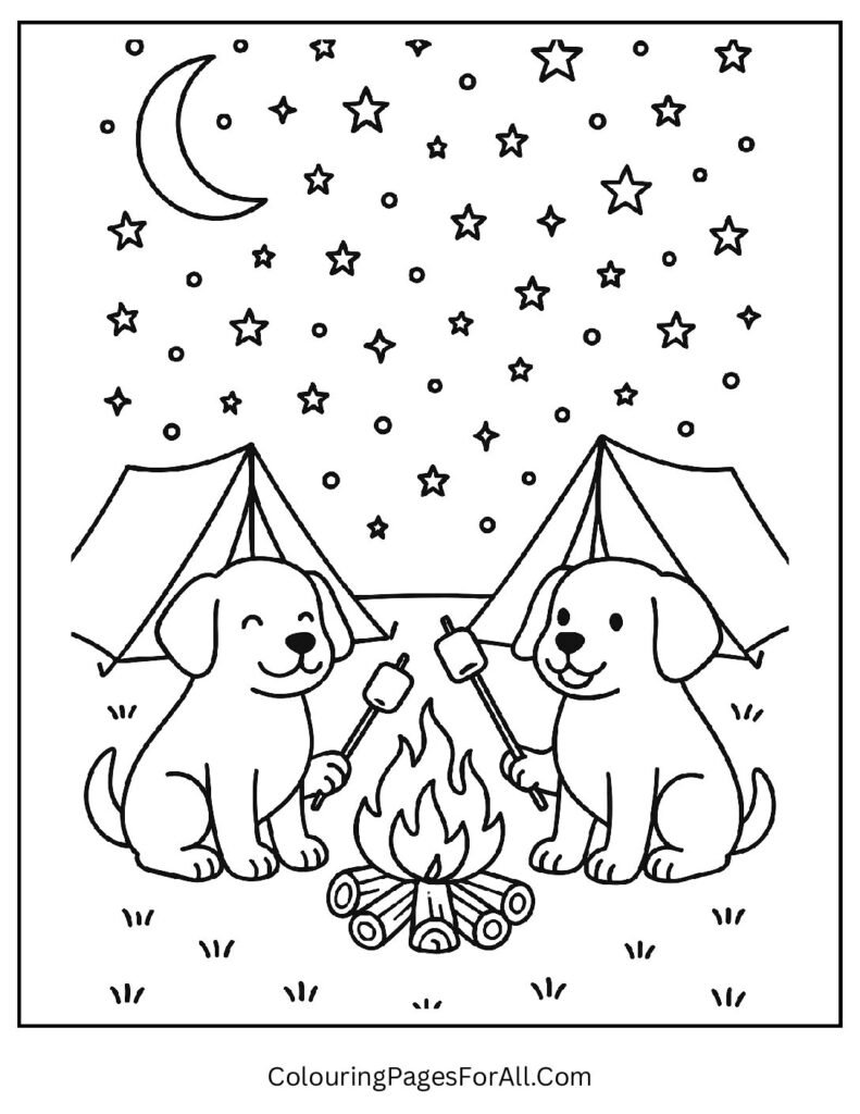 Camping dogs sitting near campfire under night sky