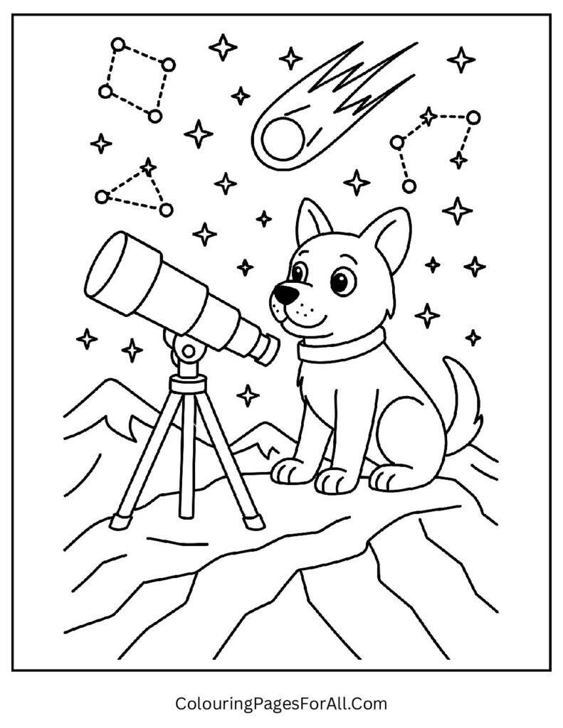Puppy astronomer stargazing with telescope on mountain